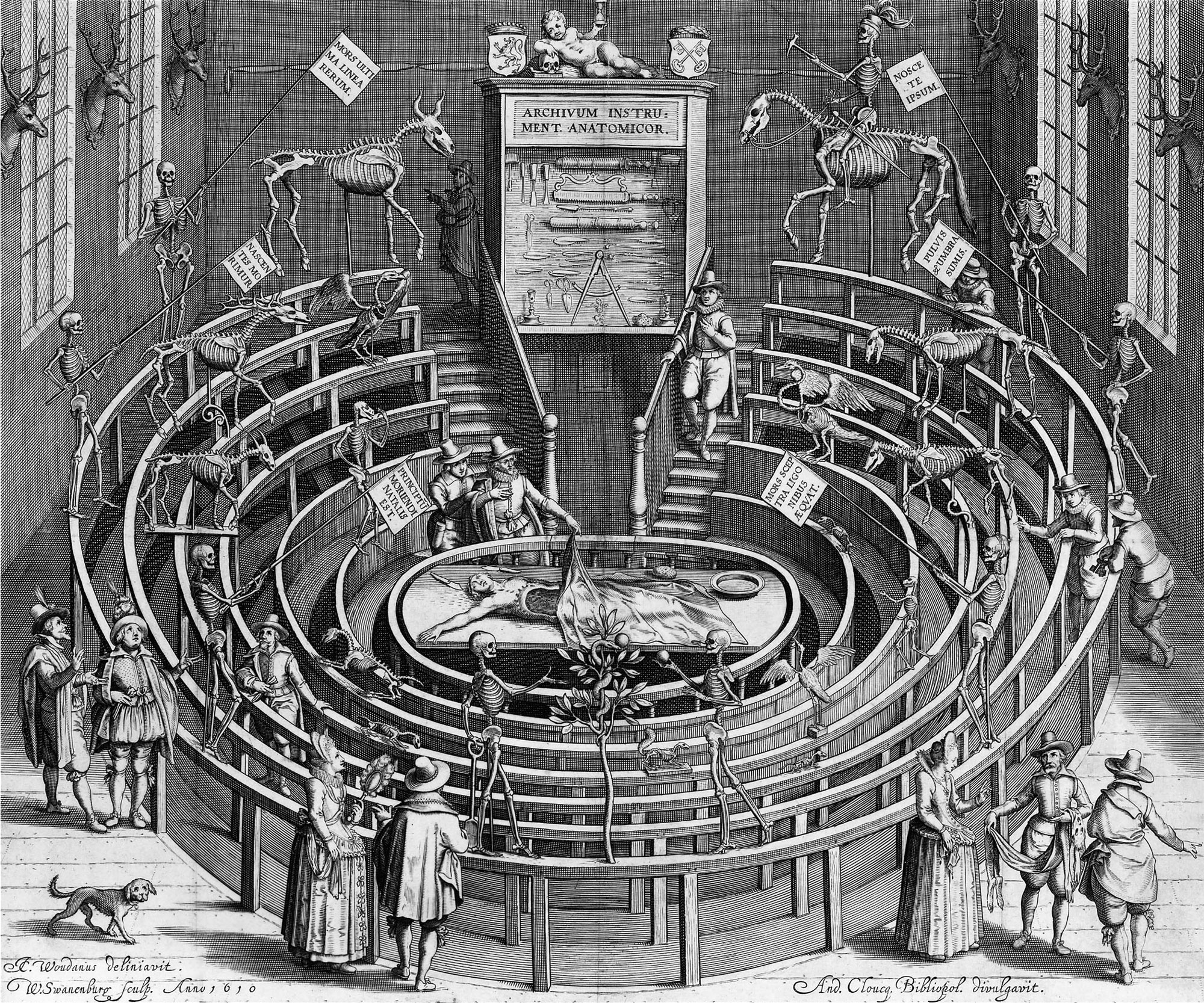 Anatomy in a Changing Field. Why it Still Matters.