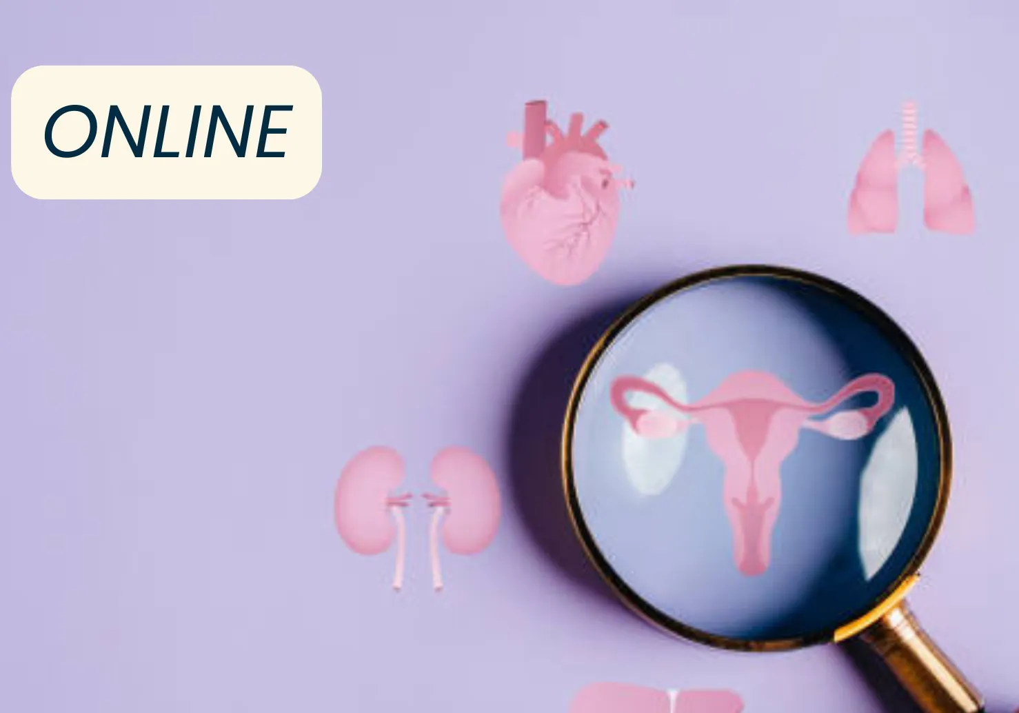 Pre-recorded webinar – Integrative and Osteopathic Approach to Perimenopause & Menopause
