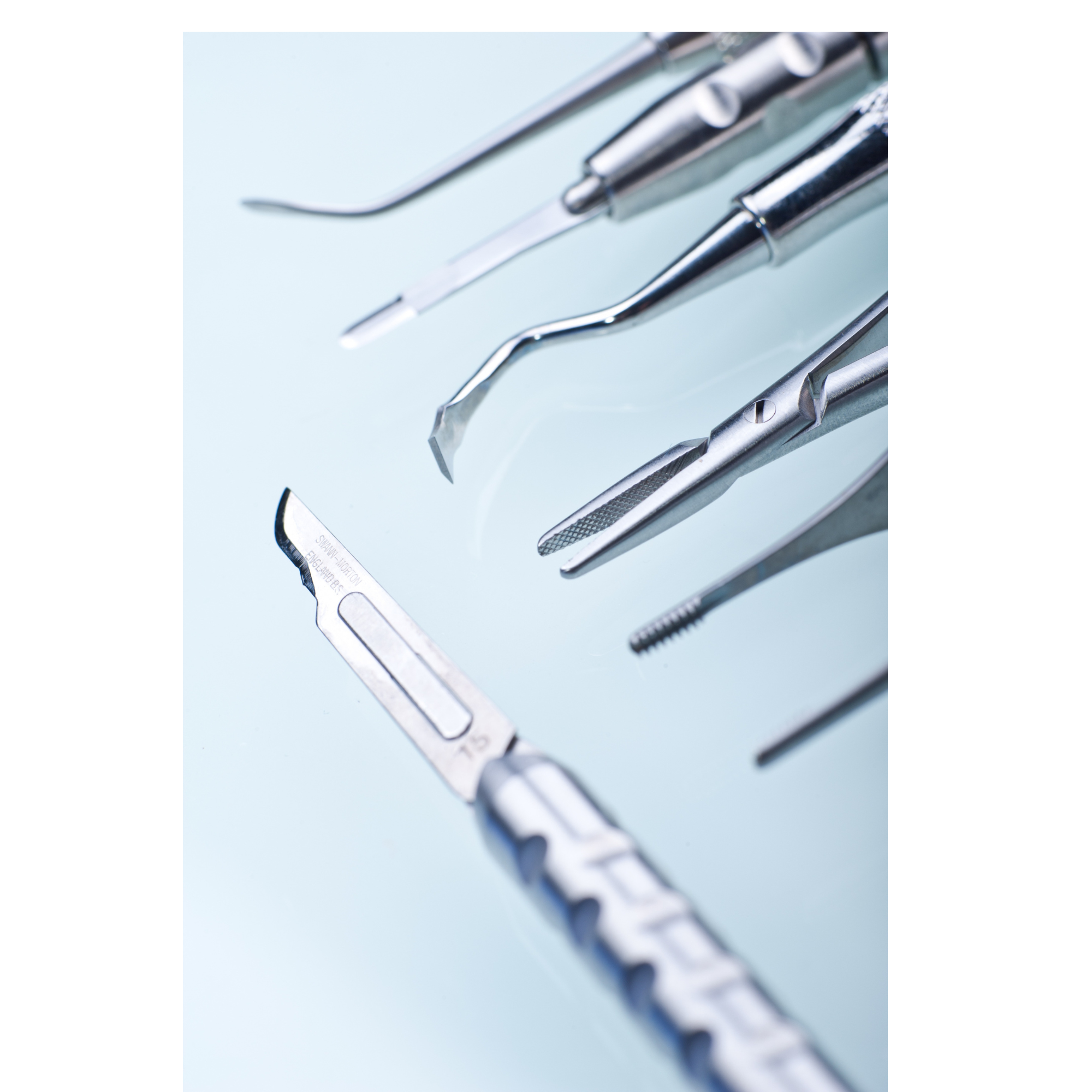 Dissection workshop – Extremities