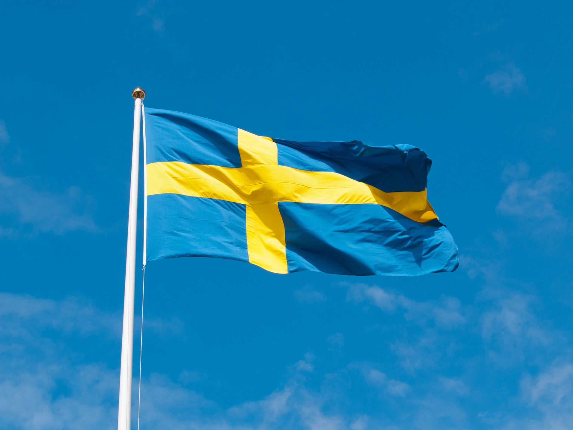 Introducing the Master of Science in Osteopathy in Sweden