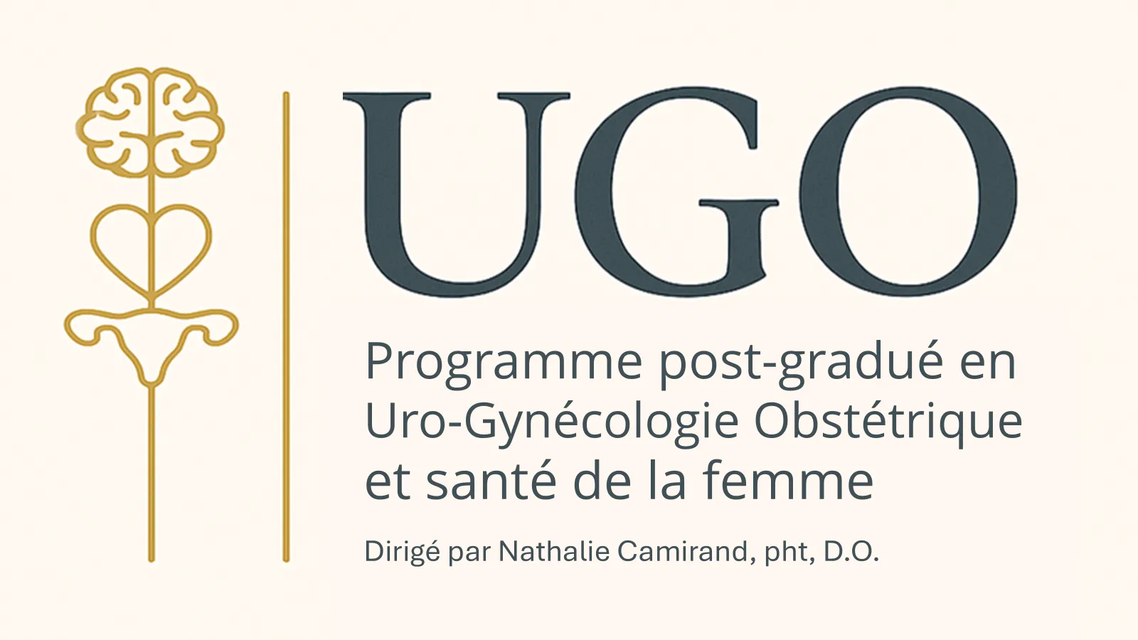 Formation UGO: programme de spécialité ostéopathique en uro-gynéco-obstrétique et santé de la femme